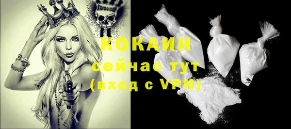дурь Арсеньев