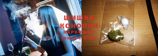 ПСИЛОЦИБИНОВЫЕ ГРИБЫ Абаза