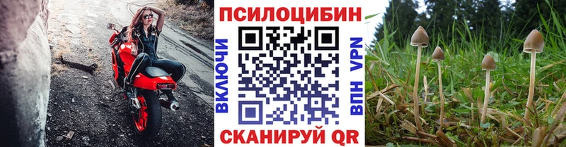 даркнет сайт Чкаловск Псилоцибиновые грибы мухоморы